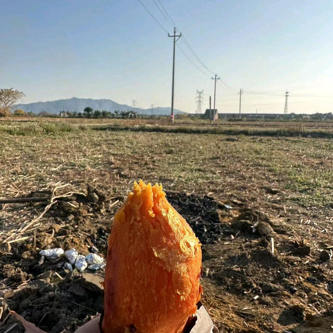 金金灵灵
