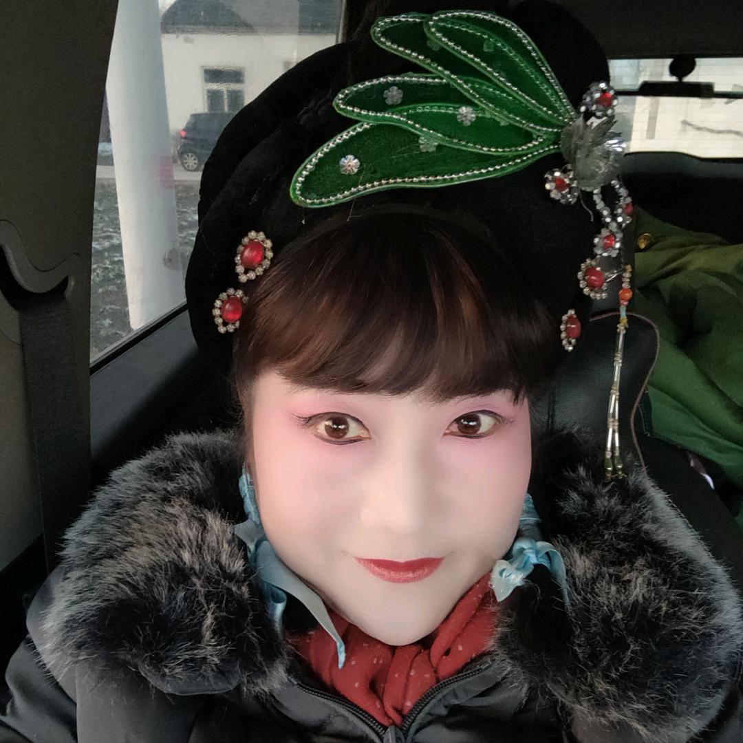 人生如歌:庐剧演员李二妹