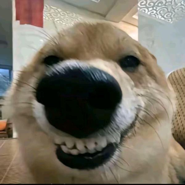 薯条大王.