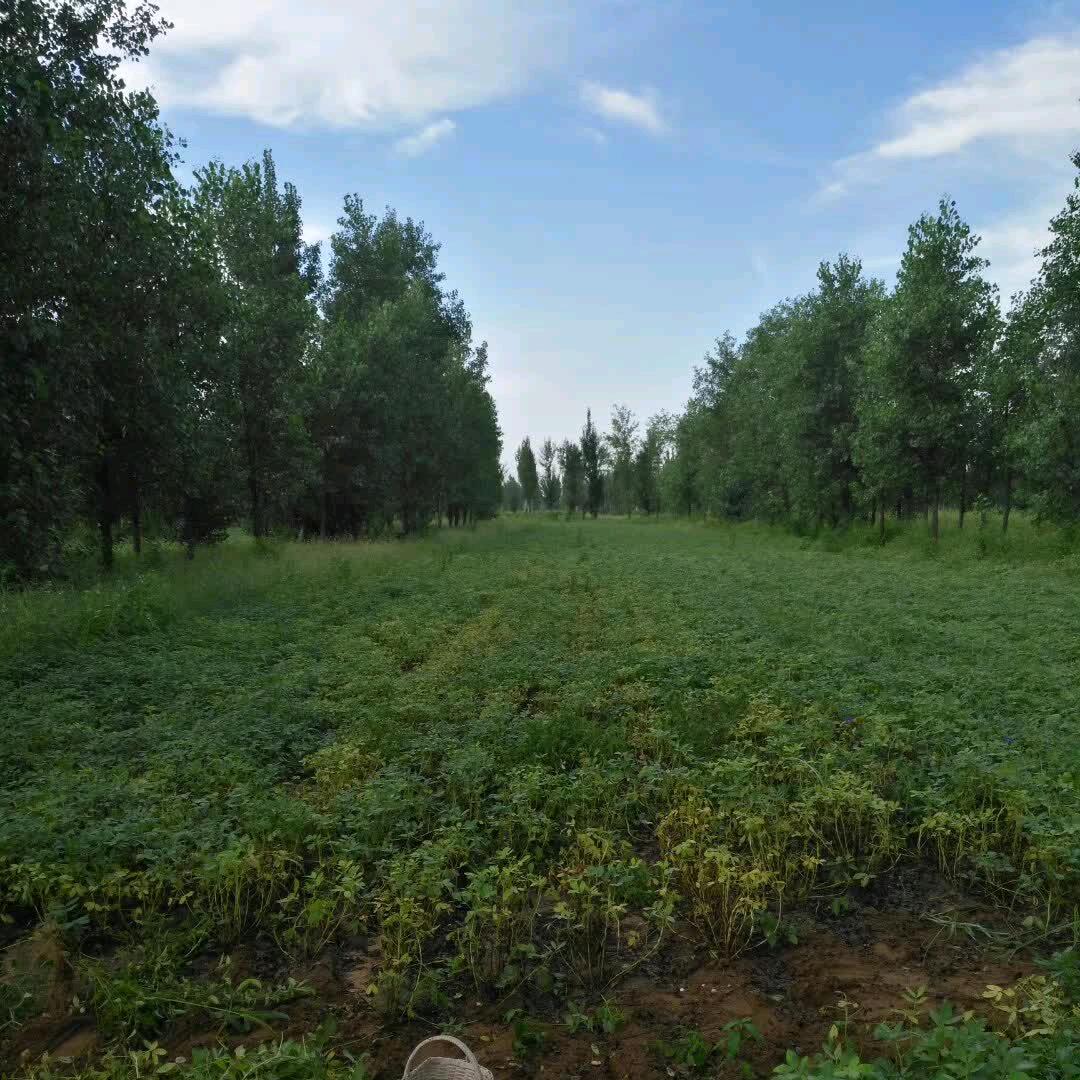 顺其自然;随遇而安
