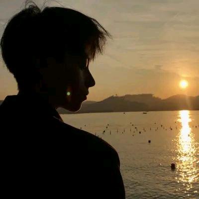 小左（和平精英PC模拟器）