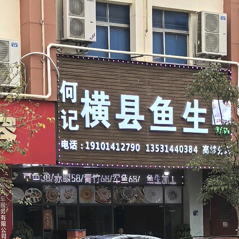何记横县鱼生（高埗店）