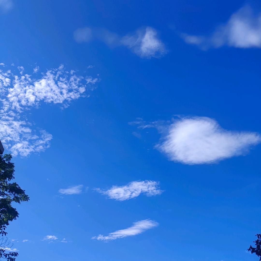 阿洋