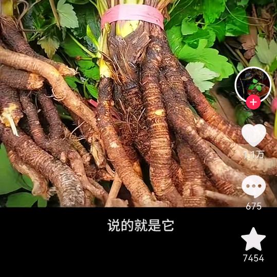 (草之缘)