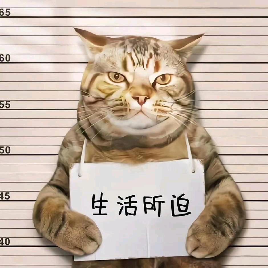 無訫