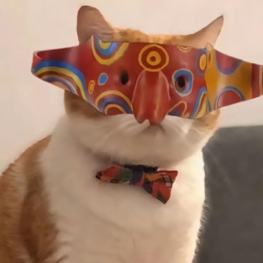 像你一样潇洒就好了 ✨