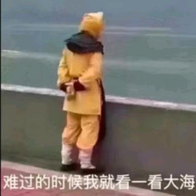 80🐒：猴哥