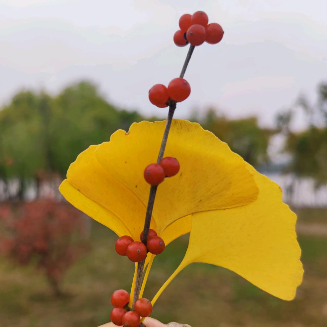 小翊翊