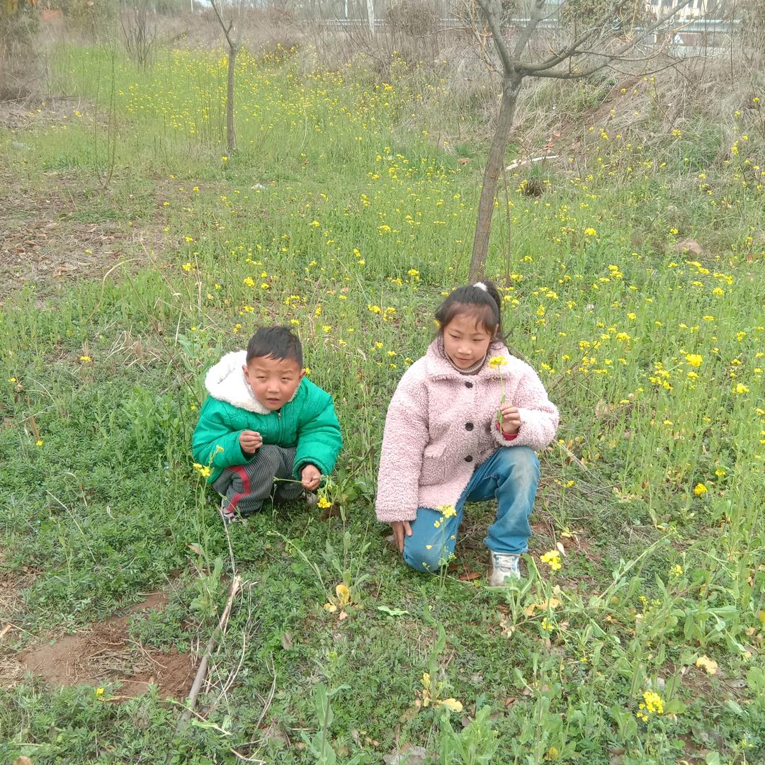 五金、土杂、杂货店、专买脚踏三轮车