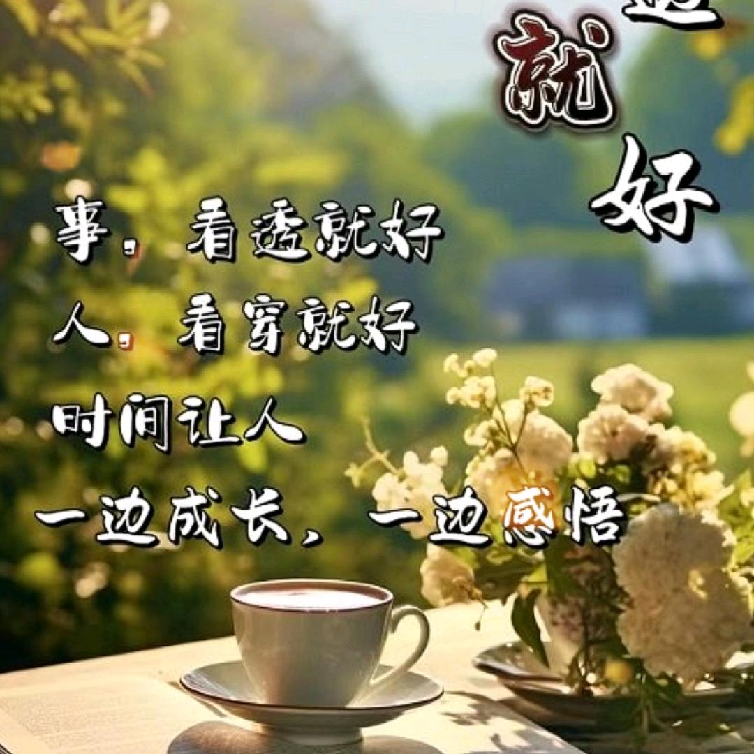 尘心静悟ঞල᭄初见ꦿ᭄࿐