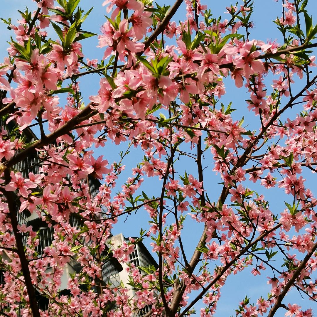 果果米米🇨🇳