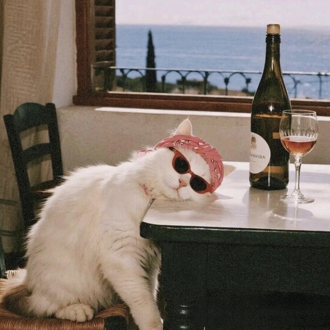 一学就困困困困困困困困