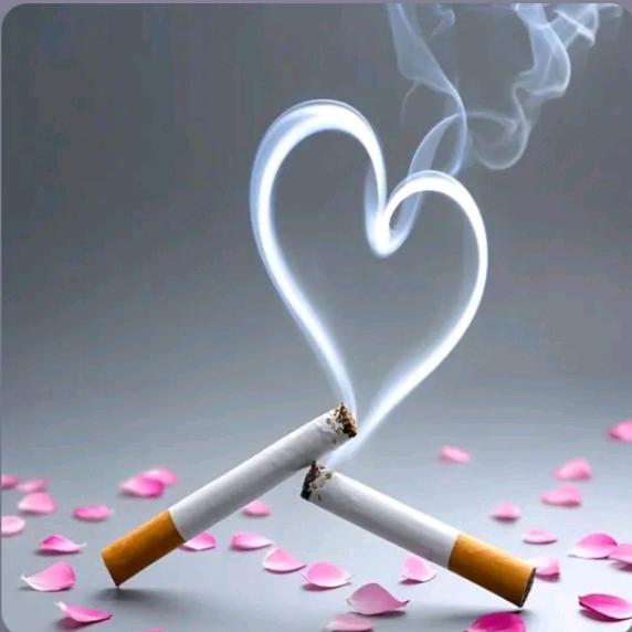 ❣️一生所爱❣️