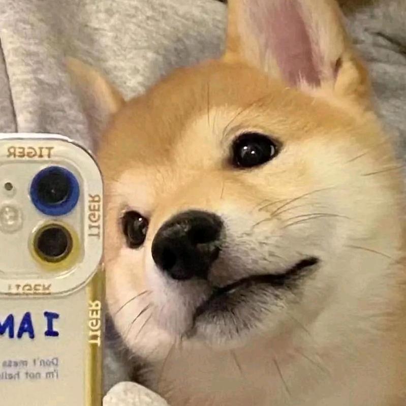 了了个了