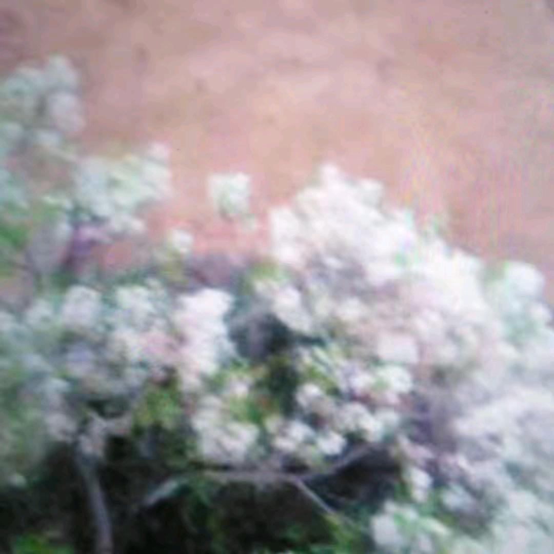 爱你爱拼才会赢