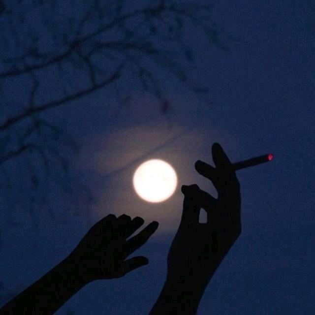 ꧁꫞꯭今爱꫞꧂