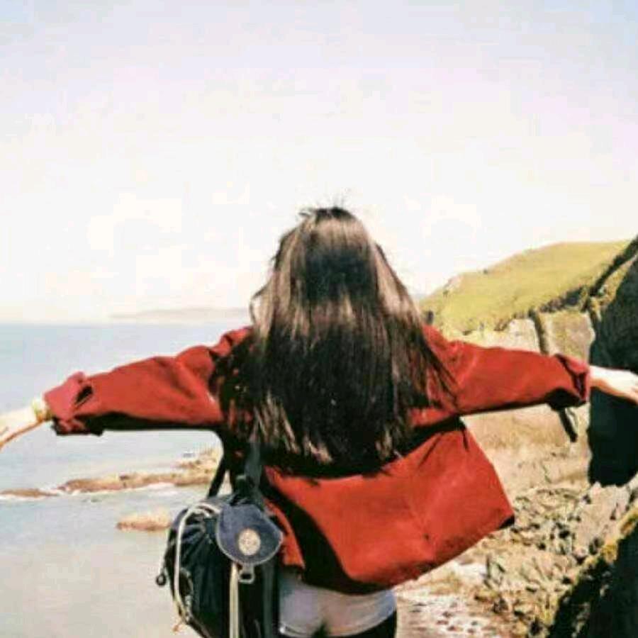 杨杨