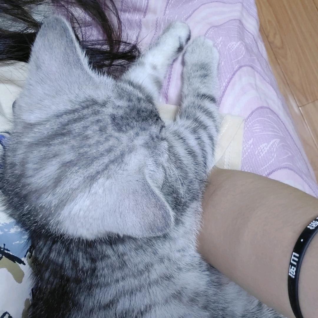 讨厌我的人鲱鱼罐头是你的食物