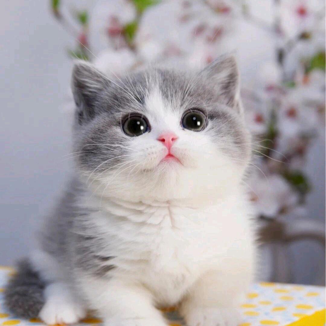 开心就好wa😘