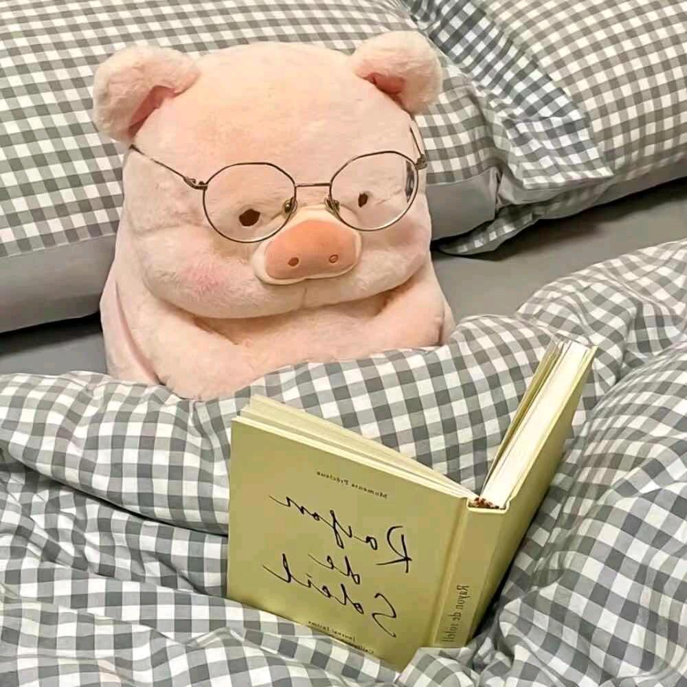 晴天小猪❤️💚