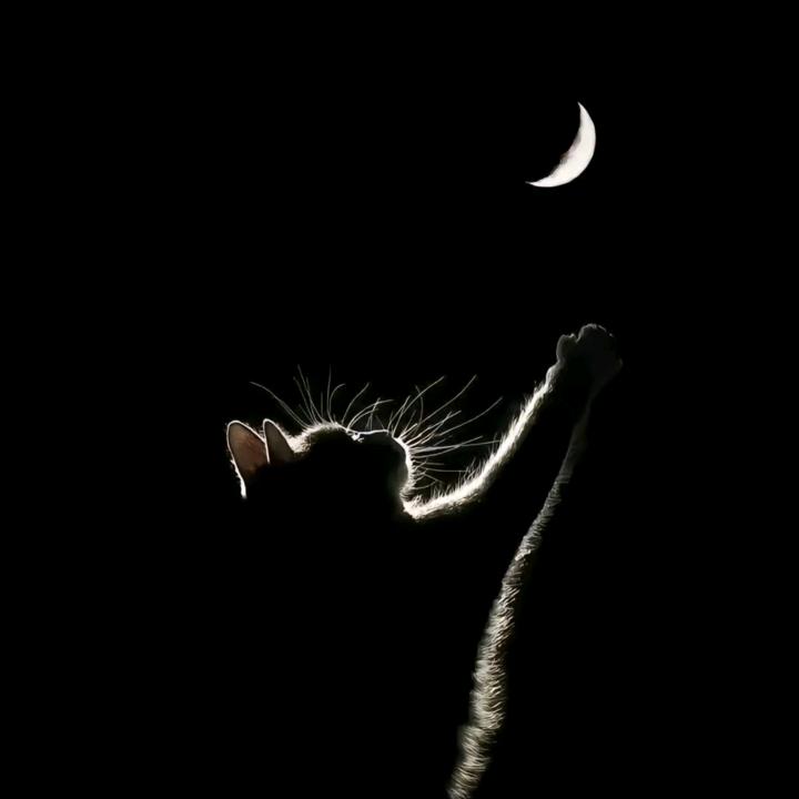 共产主义接班人