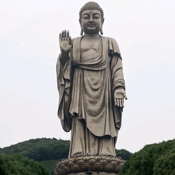 战斗野狼