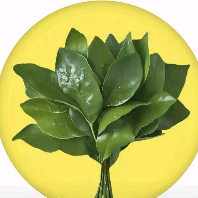 拾悦