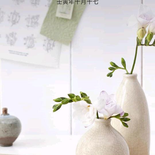 叴林