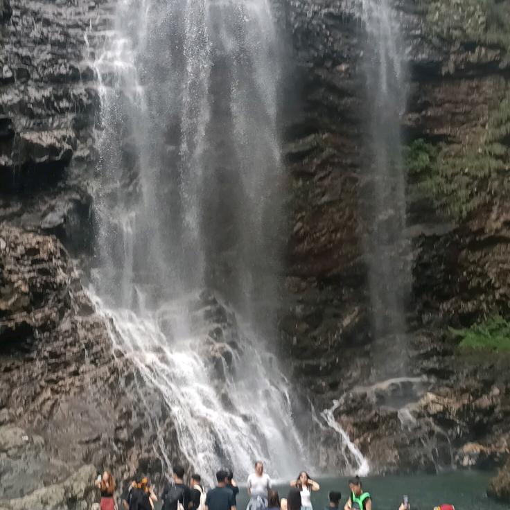 医路平安王先生