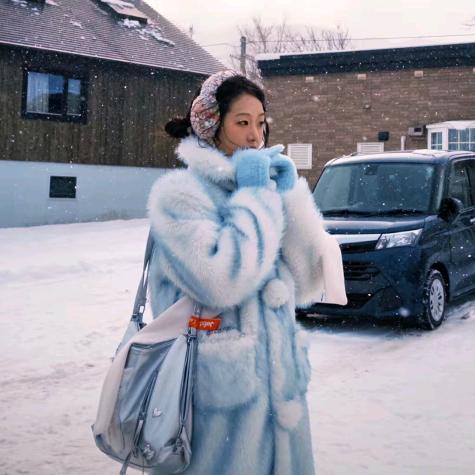 美味加葱的蛋炒饭