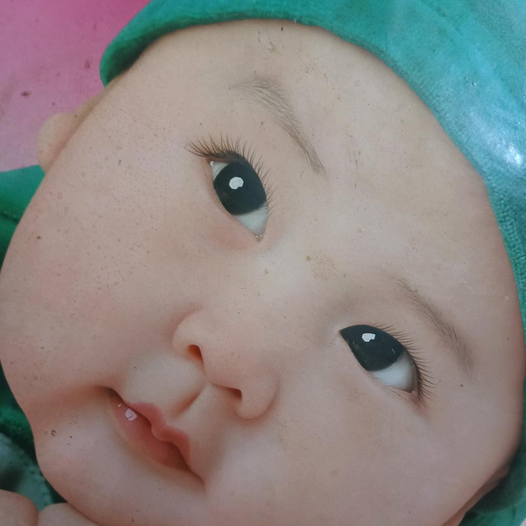 余生随心