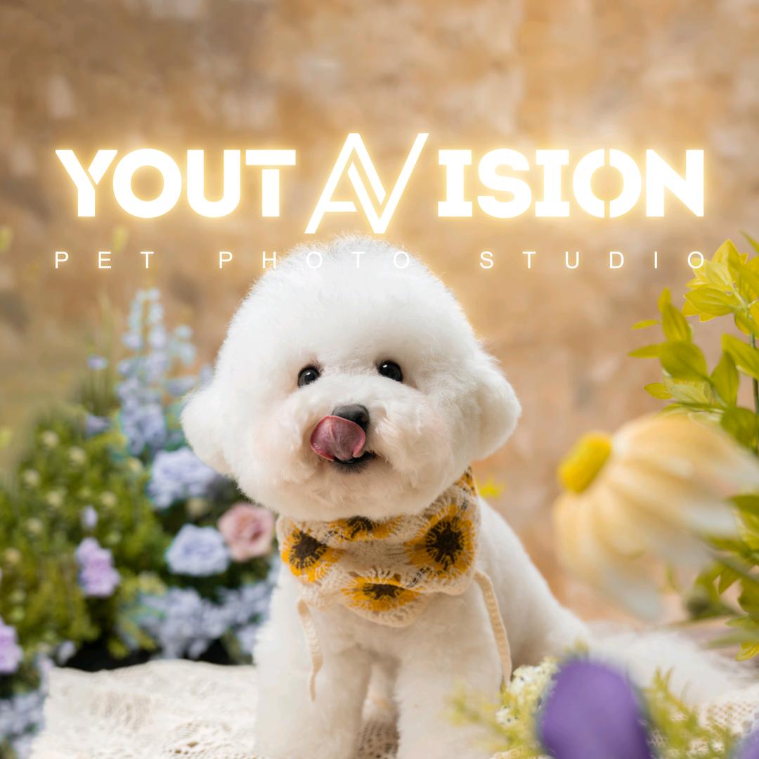 有它宠物洗美摄影工作室