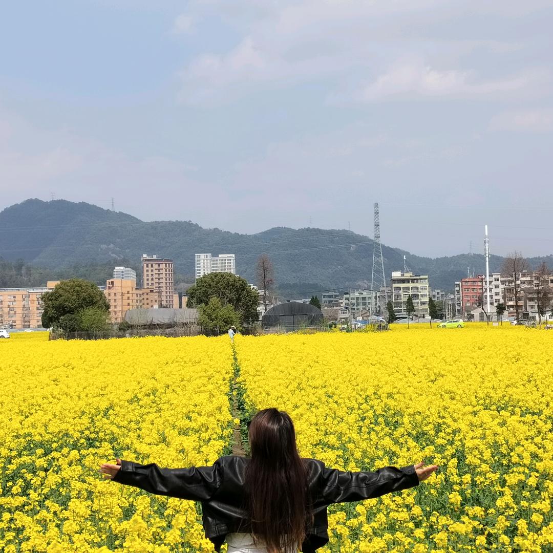 洋芋小公主👸🏻