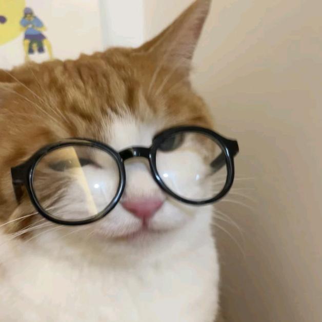 面包叮
