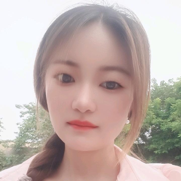 小小鲨