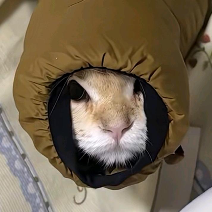 痕ʷˡʲ