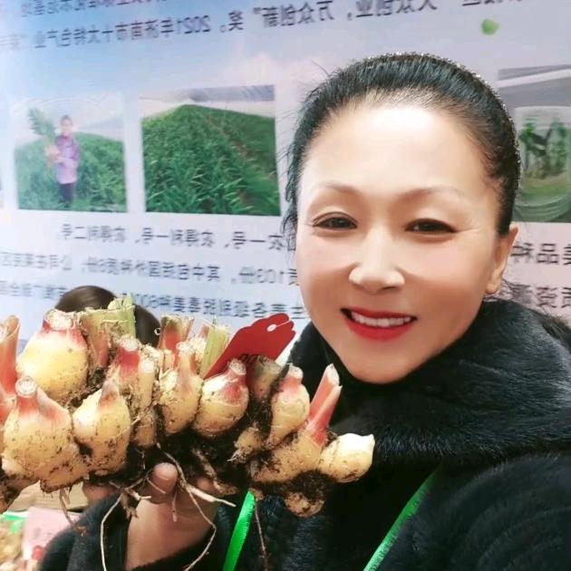 山东姜王植保企业店-刘燕