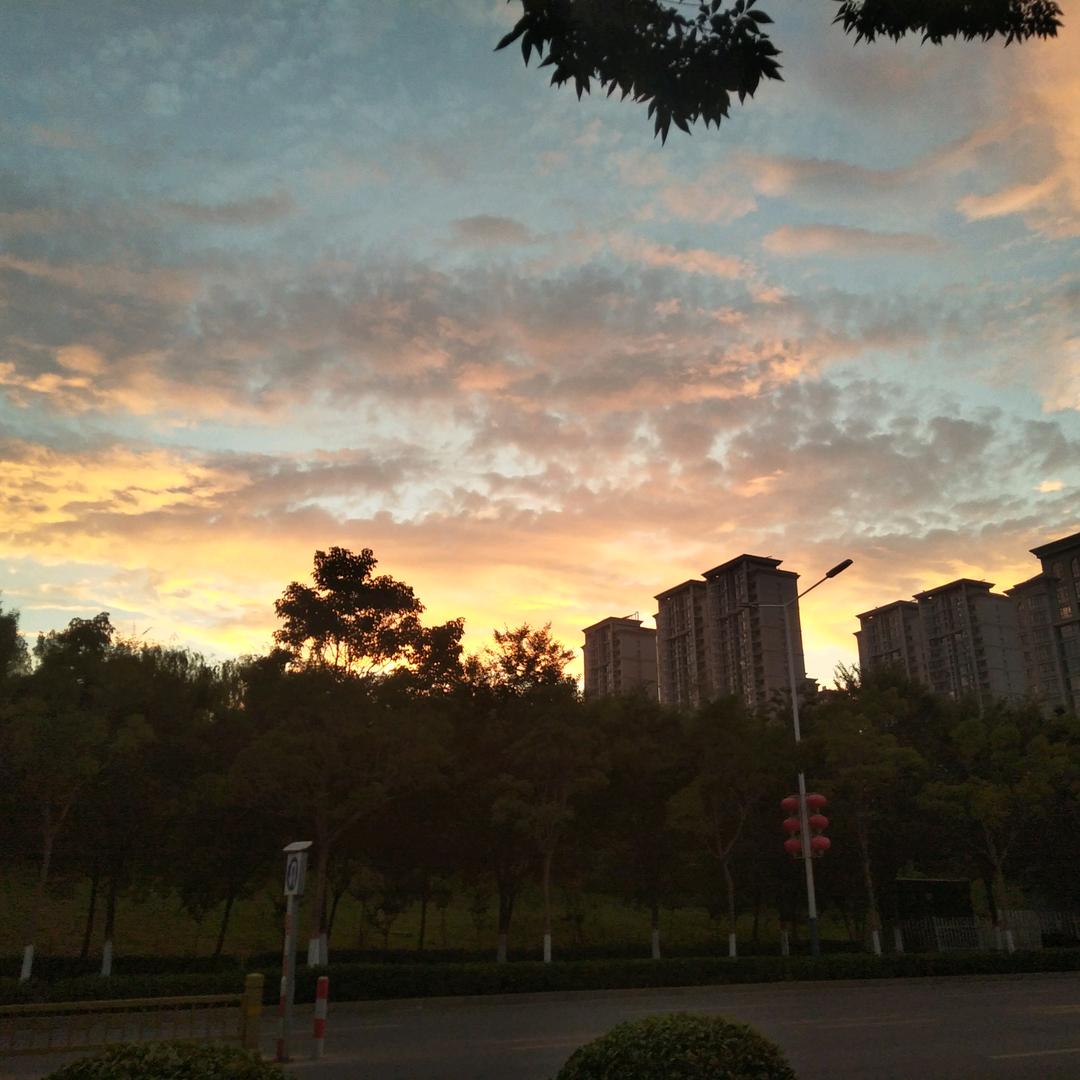 别太季动