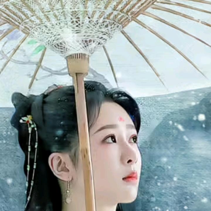 单身的女人