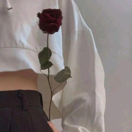 禾菟、 （关必回）