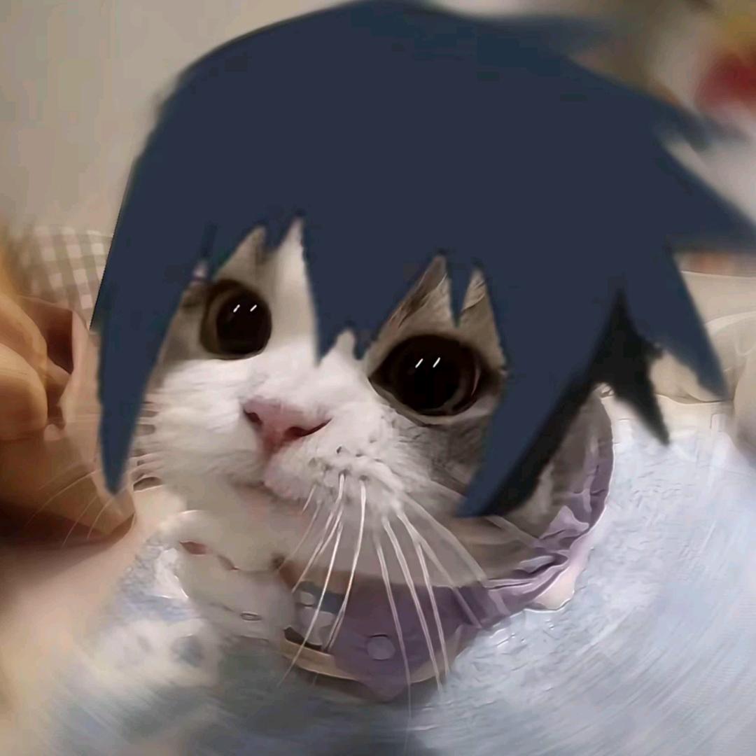 水秋qq