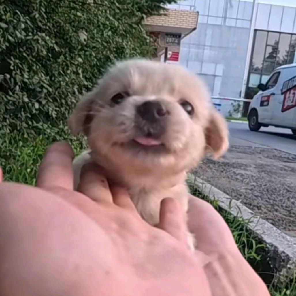 暴龙无敌战士