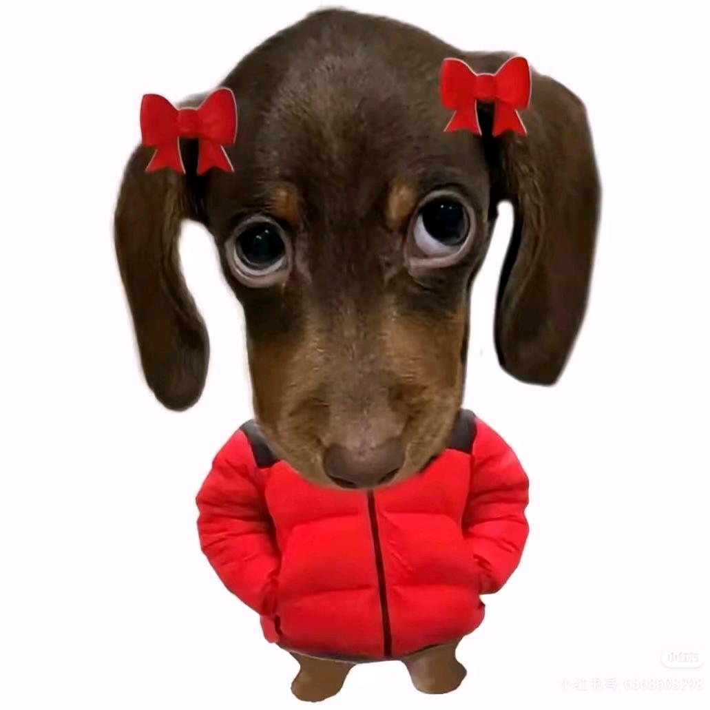 1072