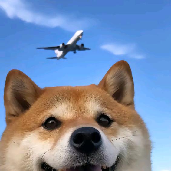 申申申