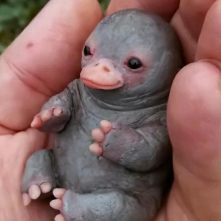 边角料开箱