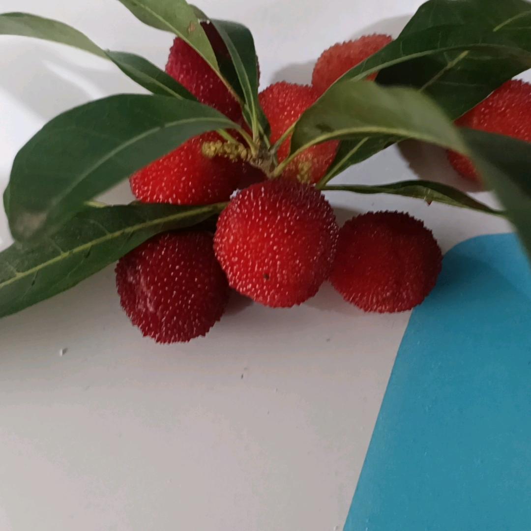 惜福