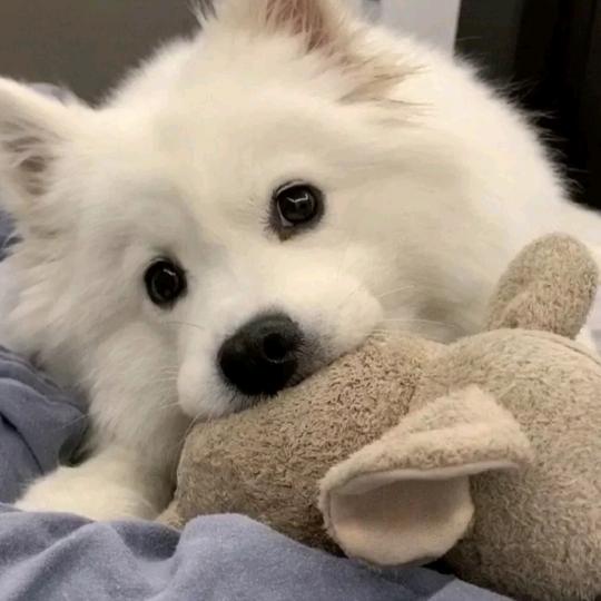 脚踏两条船的渣男