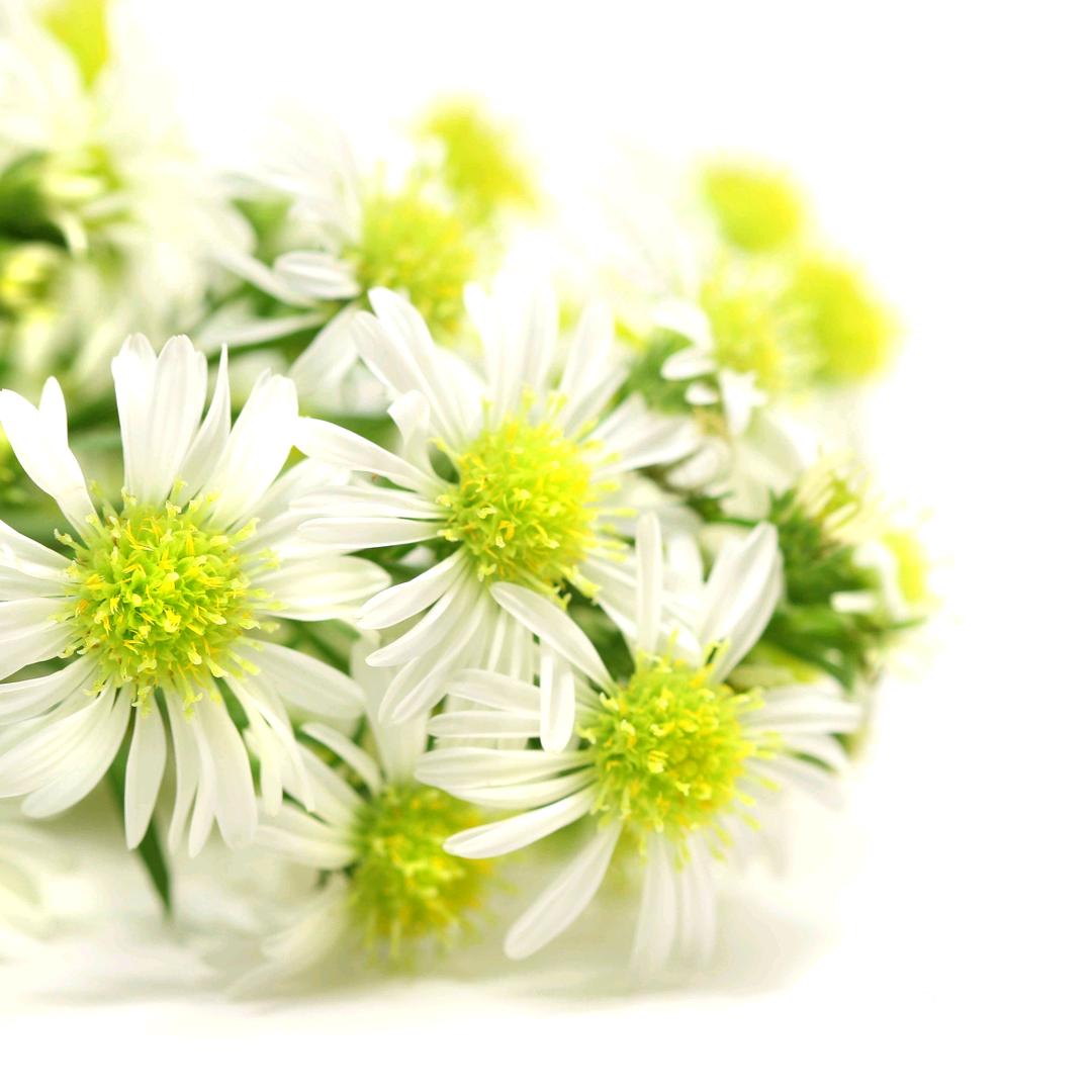 ✨✨选择是天意