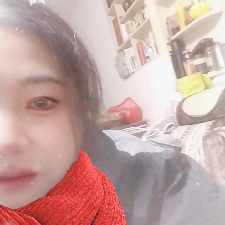 喵咪团