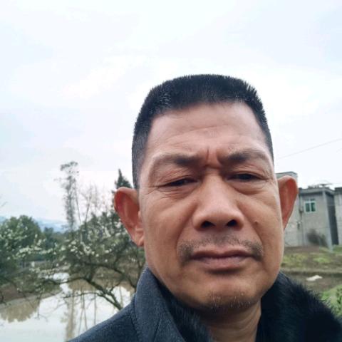 用户2351915825936